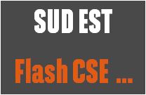 Flash CSEE Sud Est 